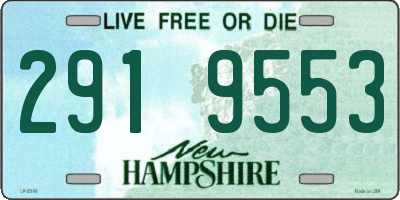 NH license plate 2919553
