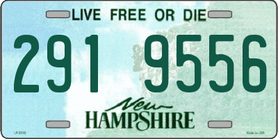 NH license plate 2919556
