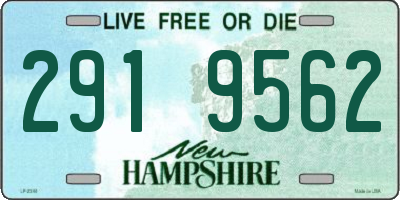 NH license plate 2919562