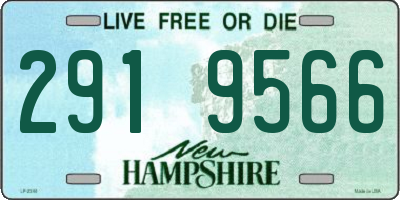NH license plate 2919566