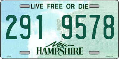 NH license plate 2919578
