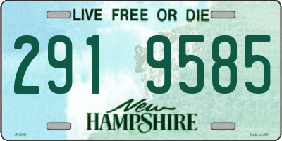 NH license plate 2919585