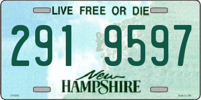 NH license plate 2919597
