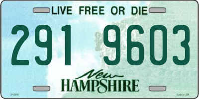 NH license plate 2919603