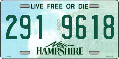 NH license plate 2919618