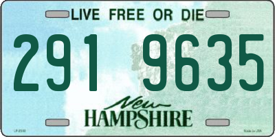 NH license plate 2919635