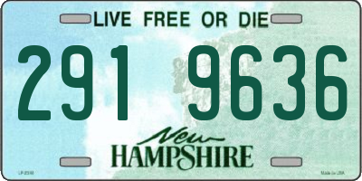 NH license plate 2919636
