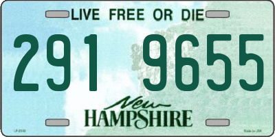 NH license plate 2919655