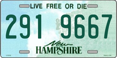 NH license plate 2919667