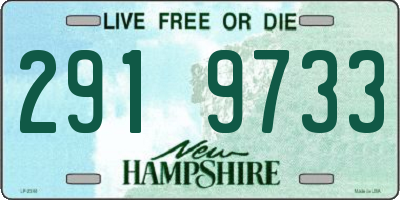 NH license plate 2919733