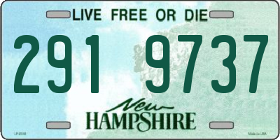NH license plate 2919737
