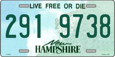 NH license plate 2919738