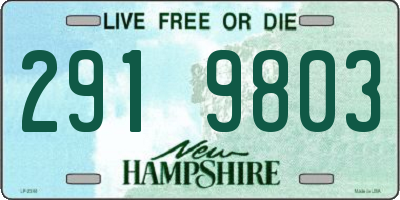 NH license plate 2919803