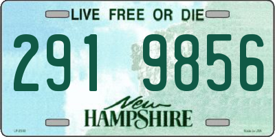 NH license plate 2919856