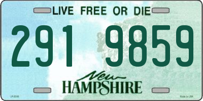 NH license plate 2919859