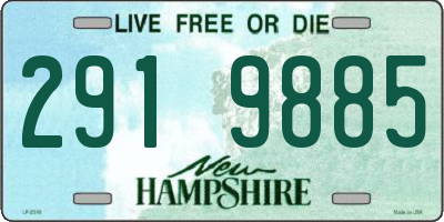 NH license plate 2919885