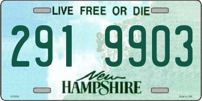 NH license plate 2919903