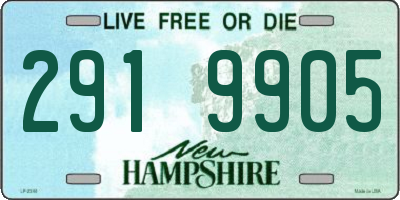 NH license plate 2919905