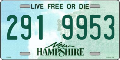 NH license plate 2919953