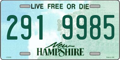 NH license plate 2919985