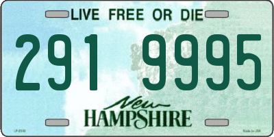 NH license plate 2919995