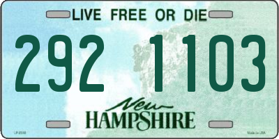 NH license plate 2921103