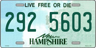 NH license plate 2925603