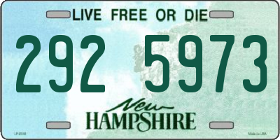 NH license plate 2925973