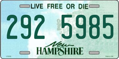 NH license plate 2925985
