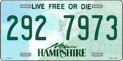 NH license plate 2927973