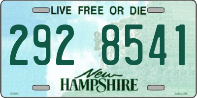NH license plate 2928541