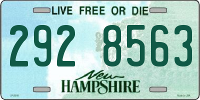 NH license plate 2928563