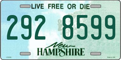 NH license plate 2928599