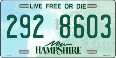 NH license plate 2928603