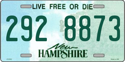 NH license plate 2928873