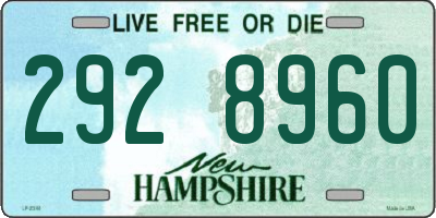 NH license plate 2928960
