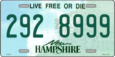 NH license plate 2928999