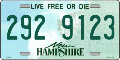 NH license plate 2929123