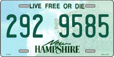 NH license plate 2929585