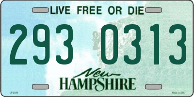 NH license plate 2930313
