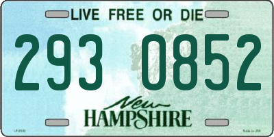 NH license plate 2930852