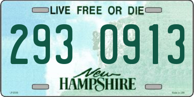 NH license plate 2930913