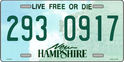 NH license plate 2930917