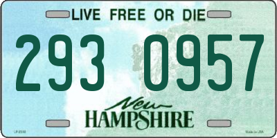 NH license plate 2930957