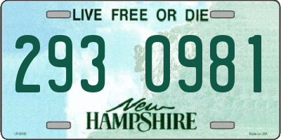NH license plate 2930981