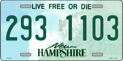 NH license plate 2931103