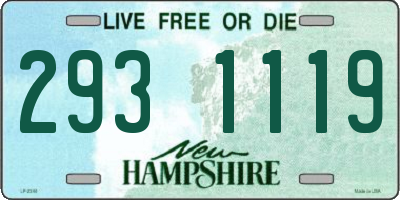 NH license plate 2931119