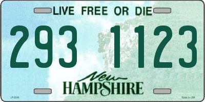 NH license plate 2931123