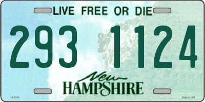 NH license plate 2931124