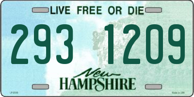 NH license plate 2931209